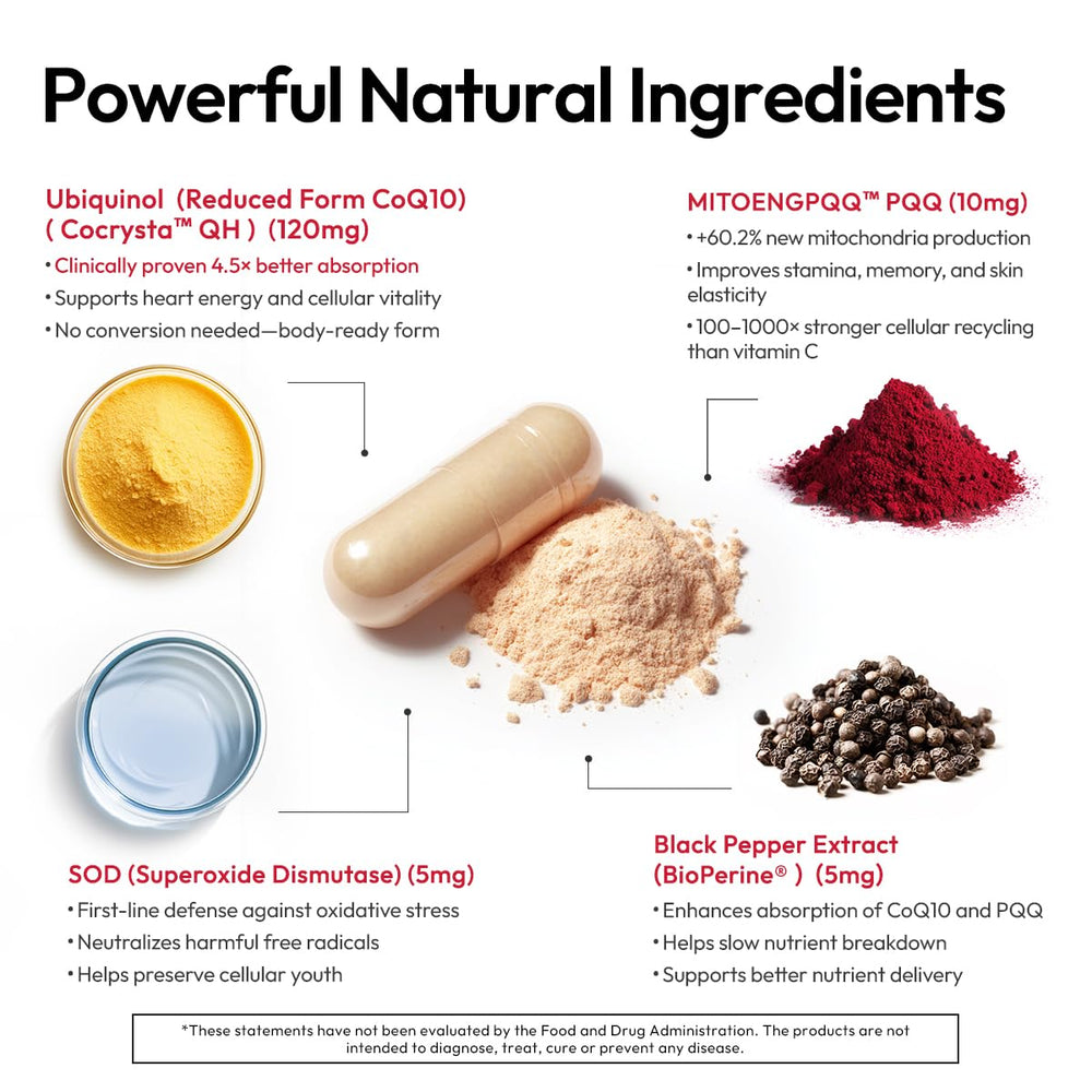 60 capsules bottle of BIGVITA CoCrystal CoQ10 dietary supplement