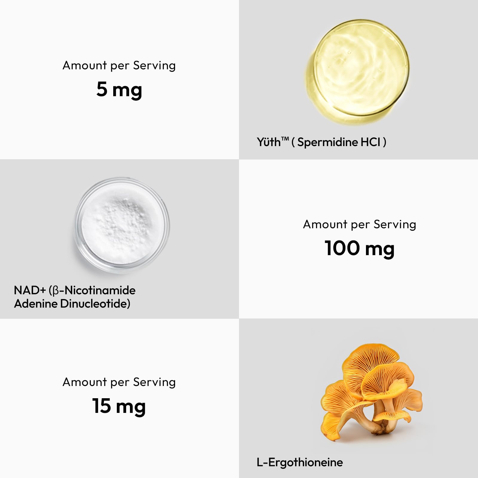 GMP-certified facility badge and third-party testing seals