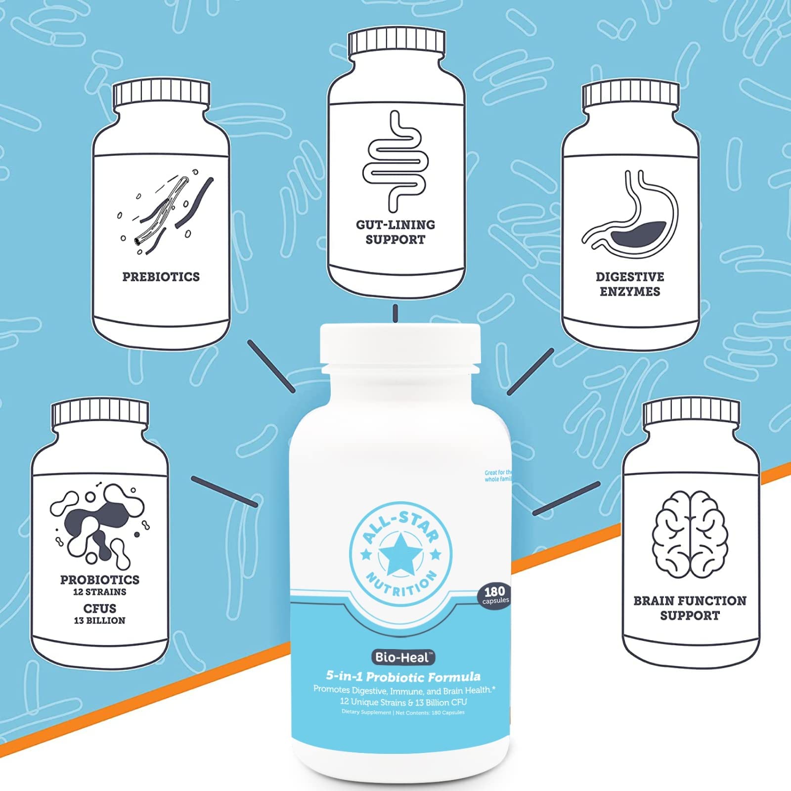 12 diverse probiotic strains and CFUs in Bio-Heal