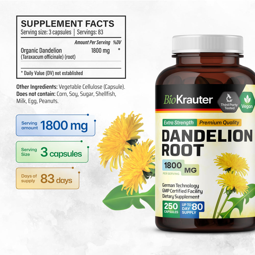 Taraxacum officinale dandelion root extract powder used in capsules