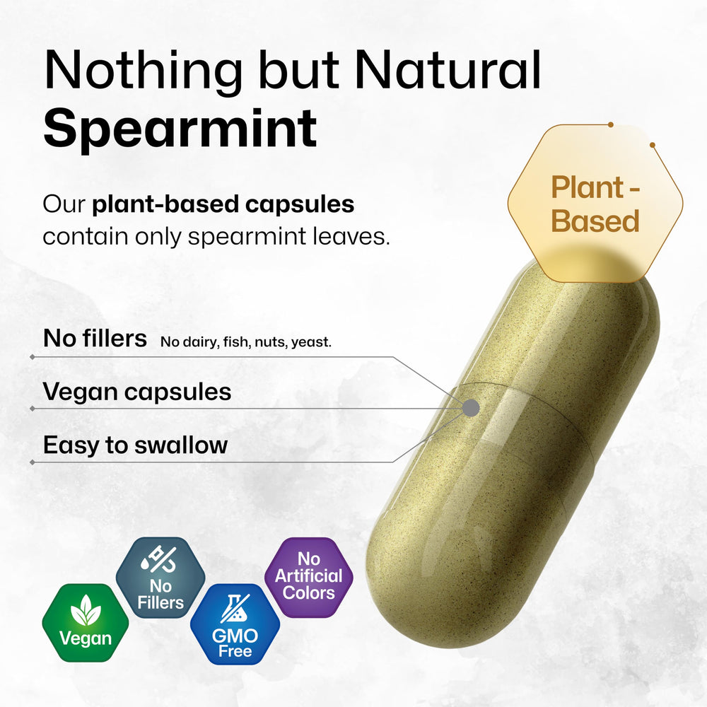 Manufacturing line showing German technology for Spearmint capsules