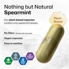 Manufacturing line showing German technology for Spearmint capsules