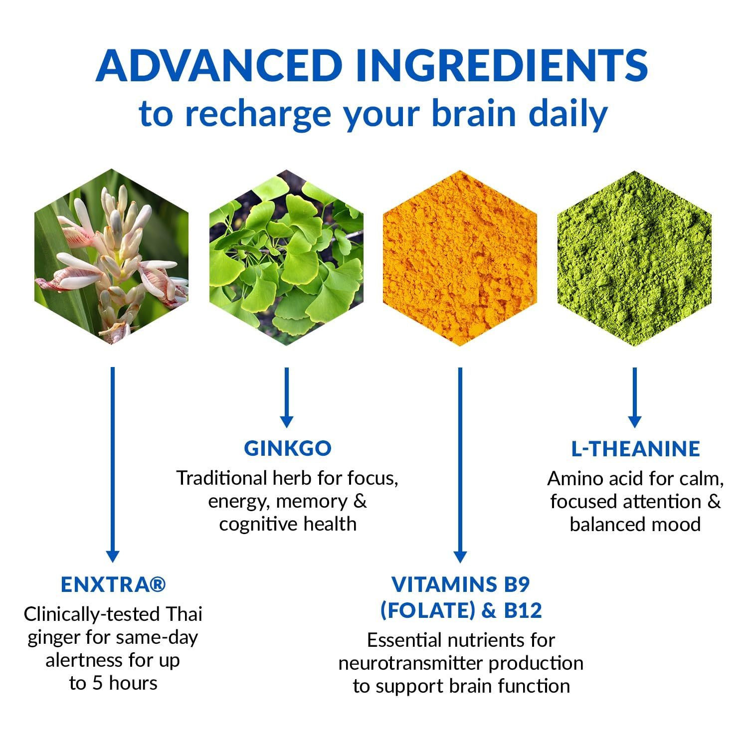 Close-up of Brain Bright label