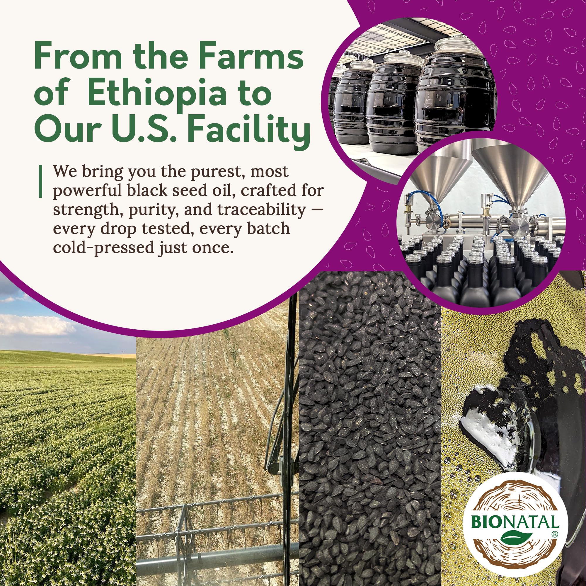 Bottle on wooden background highlighting cold-pressed oil