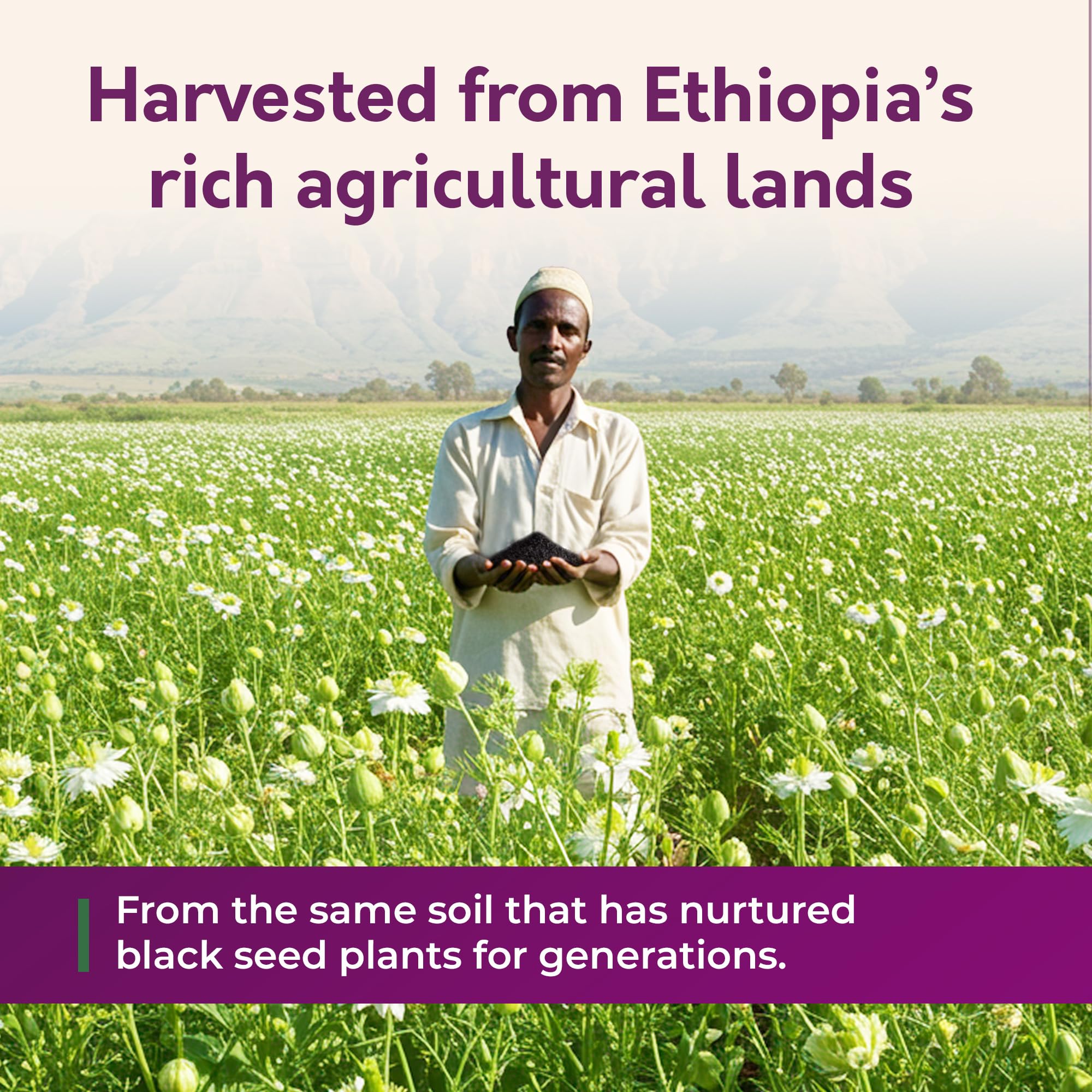 16oz glass bottle on wooden surface