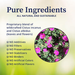 Wildcrafted Cistus incanus and Cistus albidus leaves