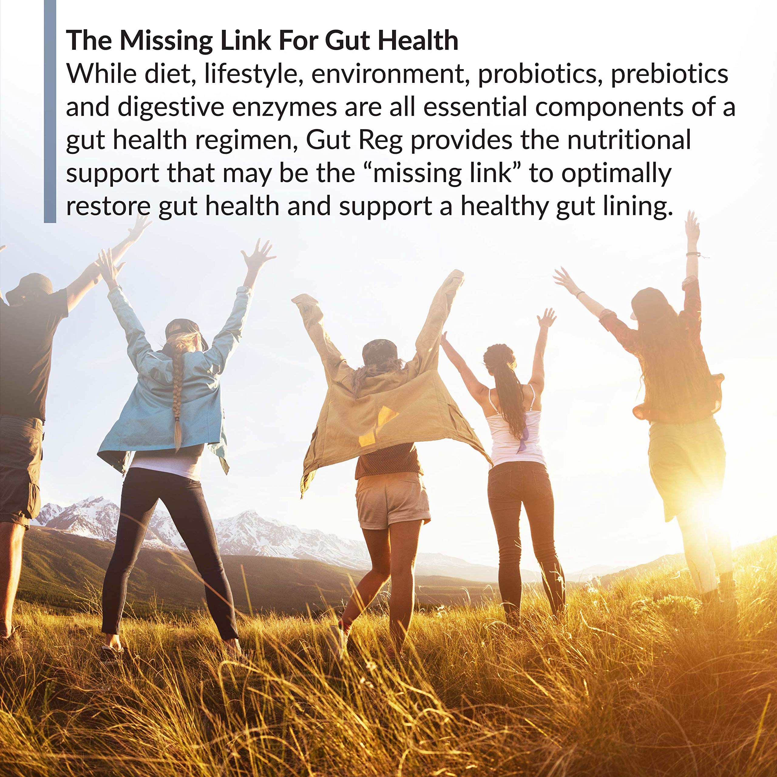 PepZin GI, L-Glutamine and Ginger Extract imagery on product label