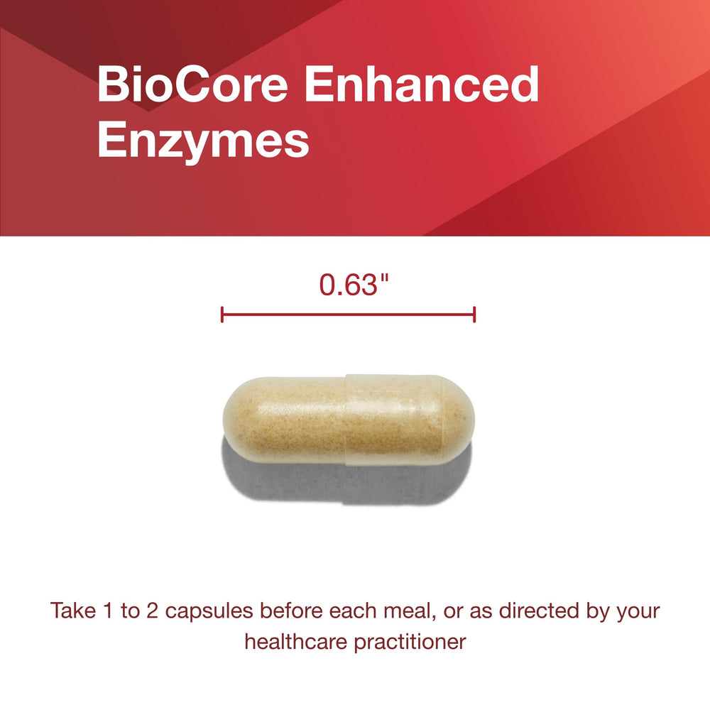 Beans and cruciferous vegetables illustration for digestion support
