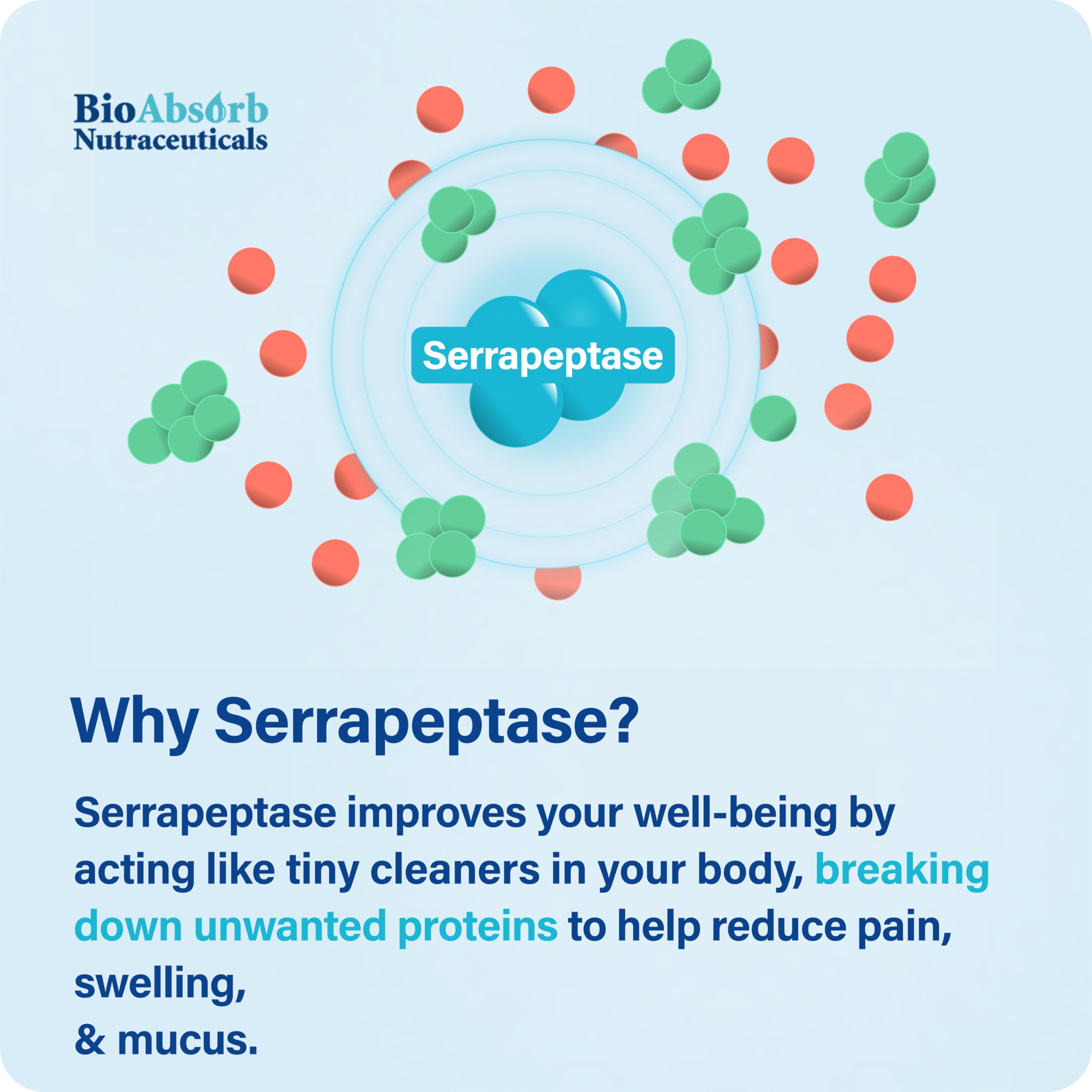Packaging and capsule close-up for BioAbsorb Serrapeptase