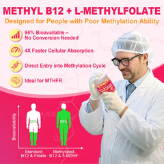 Close up of bioactive nutrients B12 5 MTHF B6 B2 for methylation