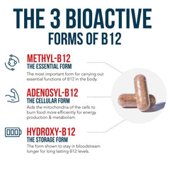 Methylcobalamin B12 form
