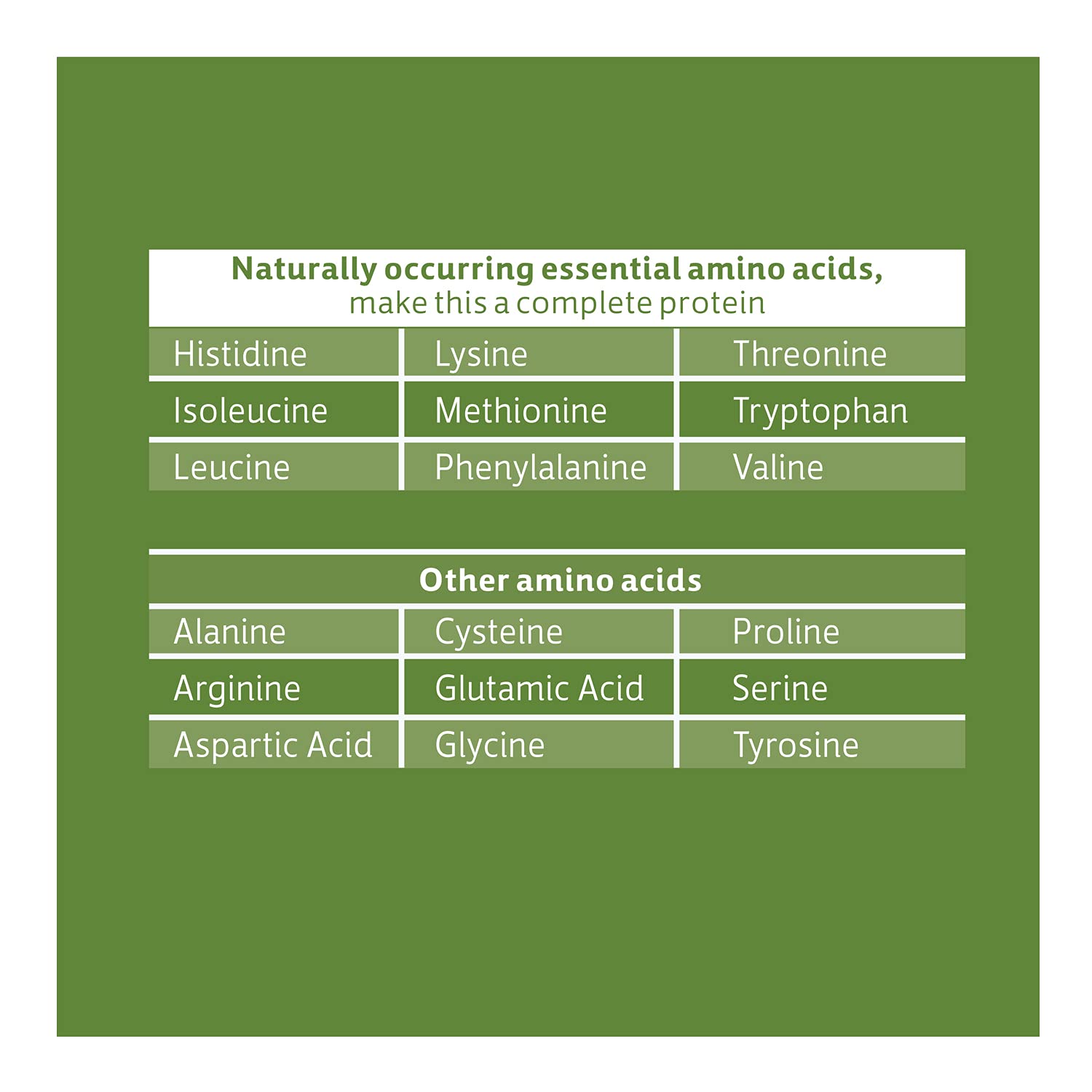 Biochem chocolate protein powder on counter ready to mix after workouts.