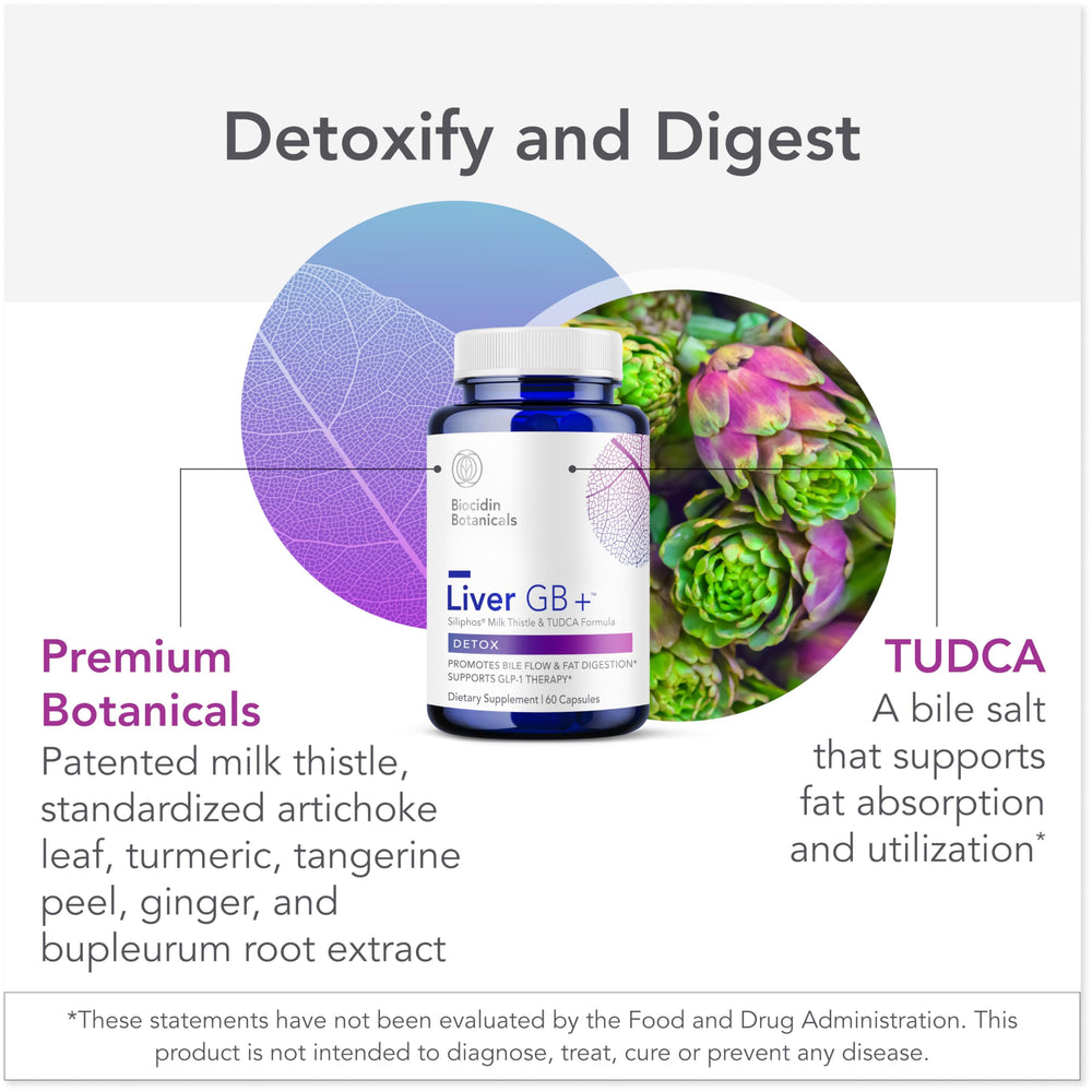 Concept image showing liver and gallbladder support