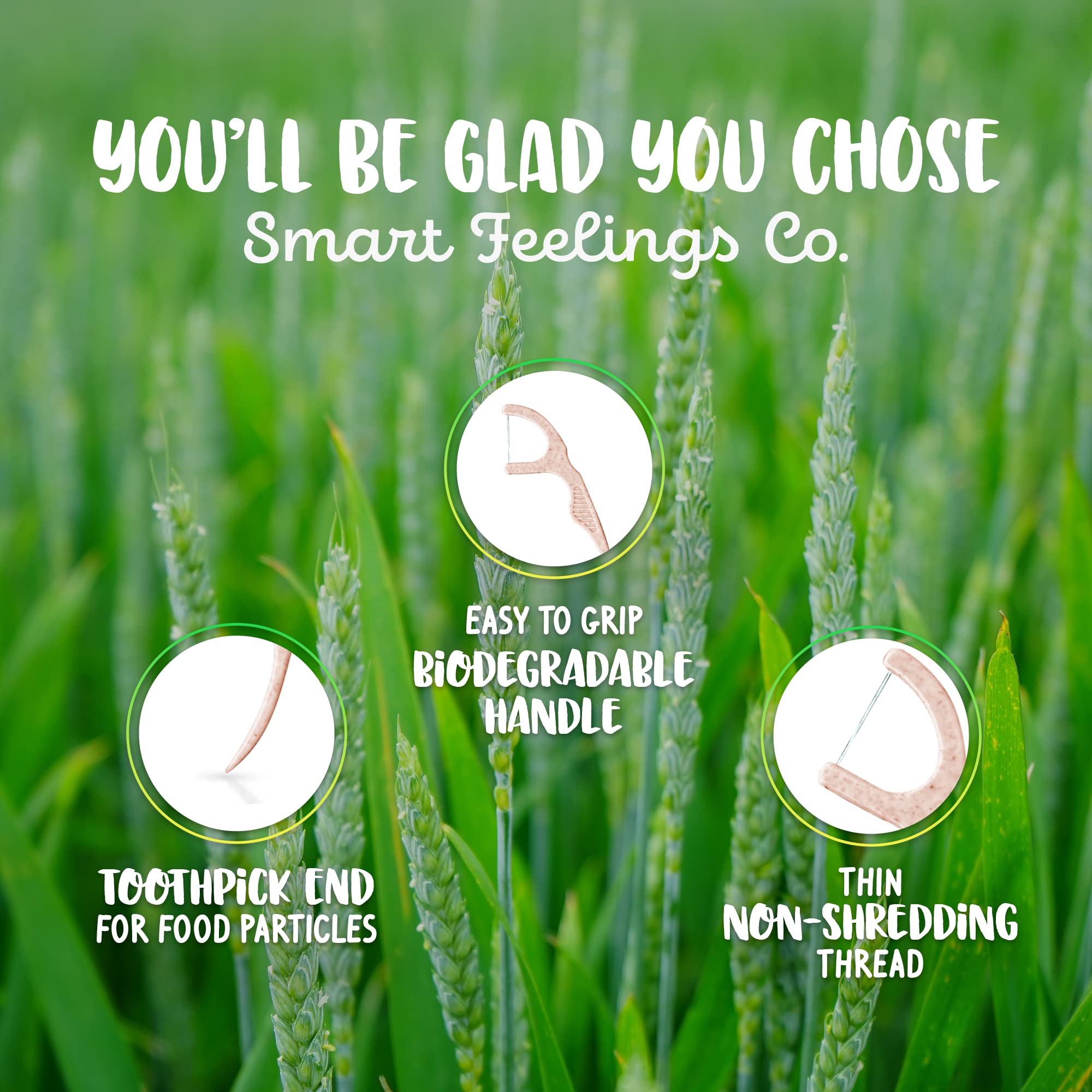 Floss picks showing straw wheat material and packaging