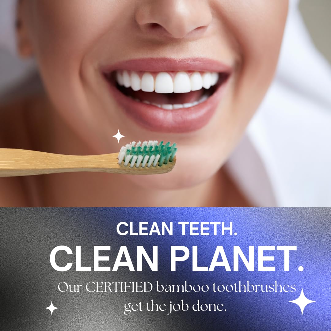 Biodegradable bamboo toothbrush icon