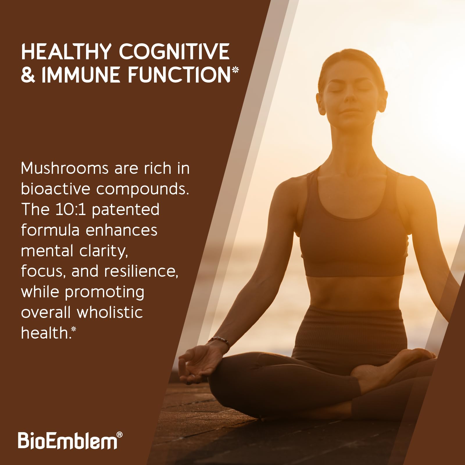 BioEmblem Mushroom Complex Chaga 10:1 extract – capsule image