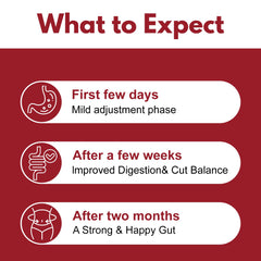 Illustration of enzymes breaking down biofilm in the digestive system