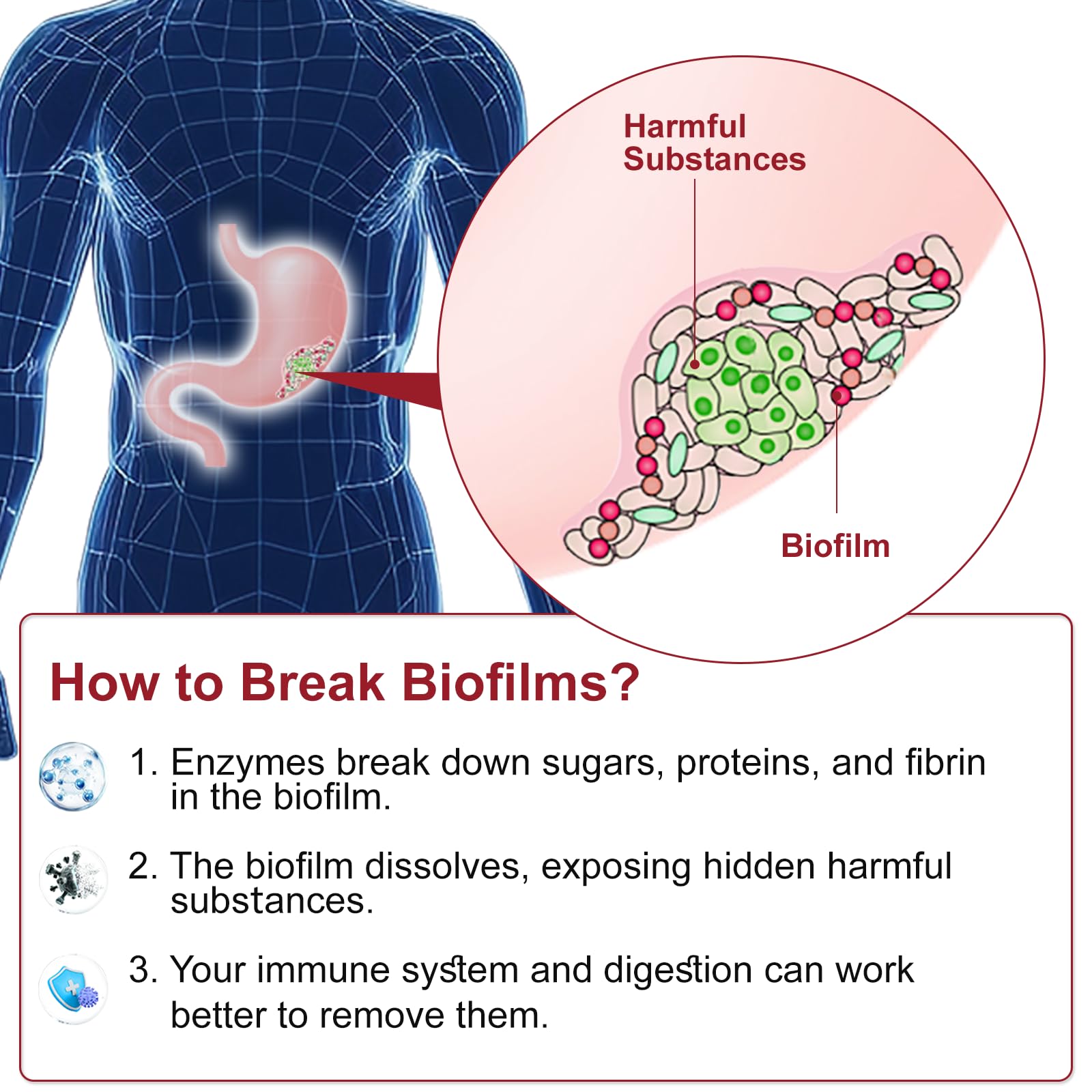 Enteric-coated serrapeptase capsule for gut health