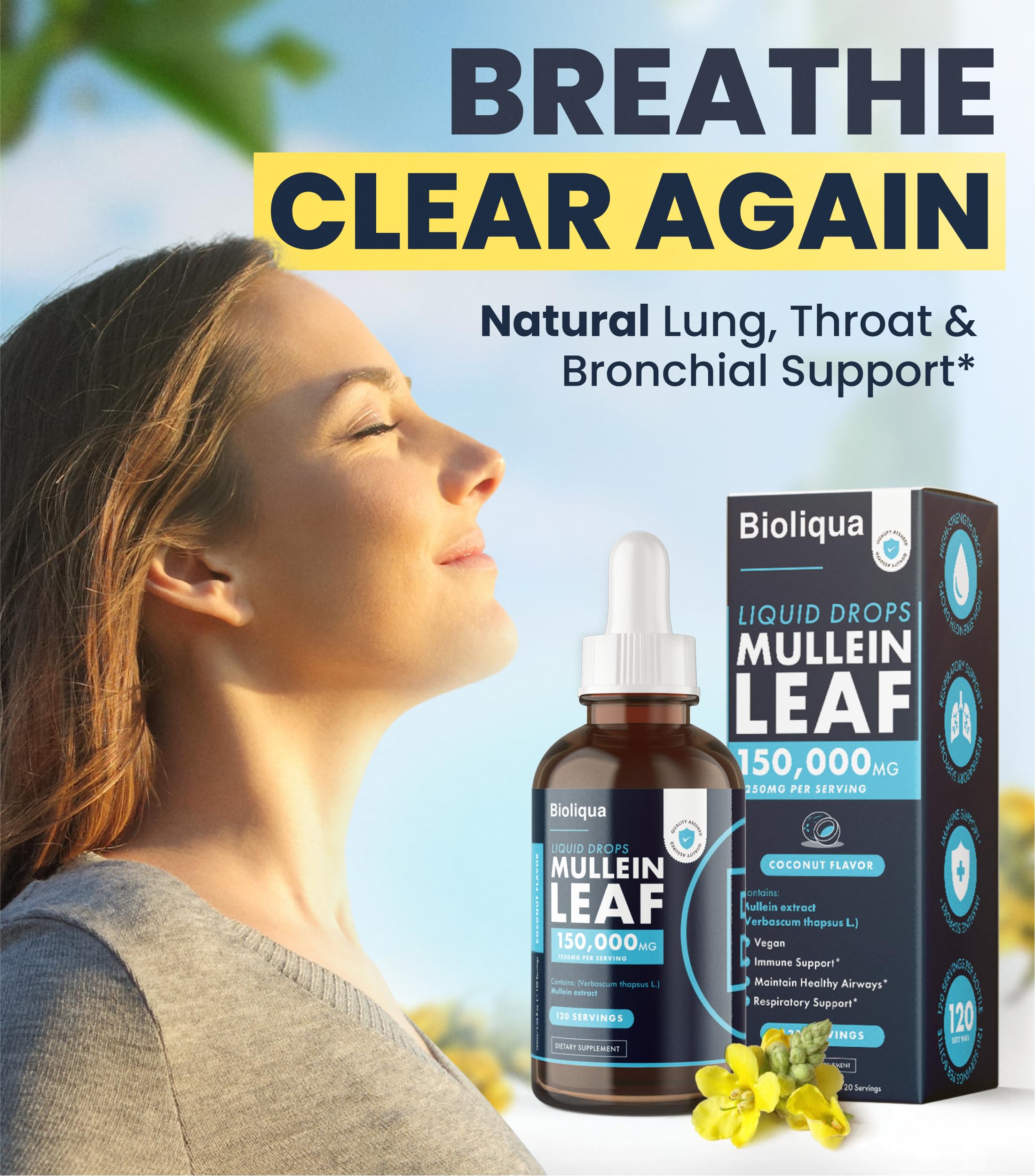 Dropper dispensing mullein leaf tincture