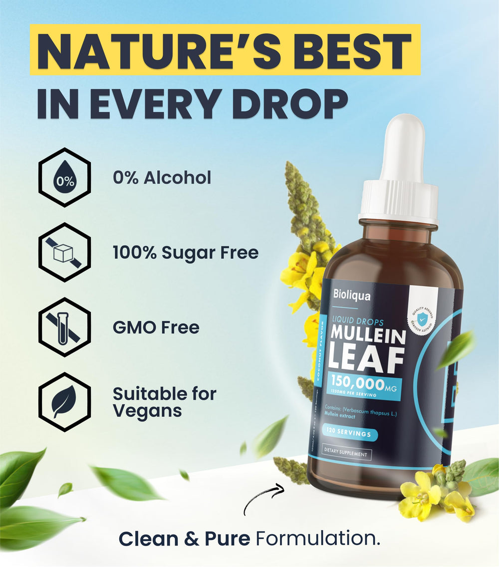 Mullein leaf tincture ingredients illustration