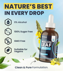 Mullein leaf tincture ingredients illustration