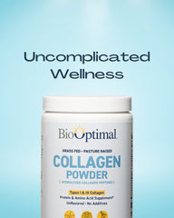Grass-fed collagen peptides powder ingredients graphic