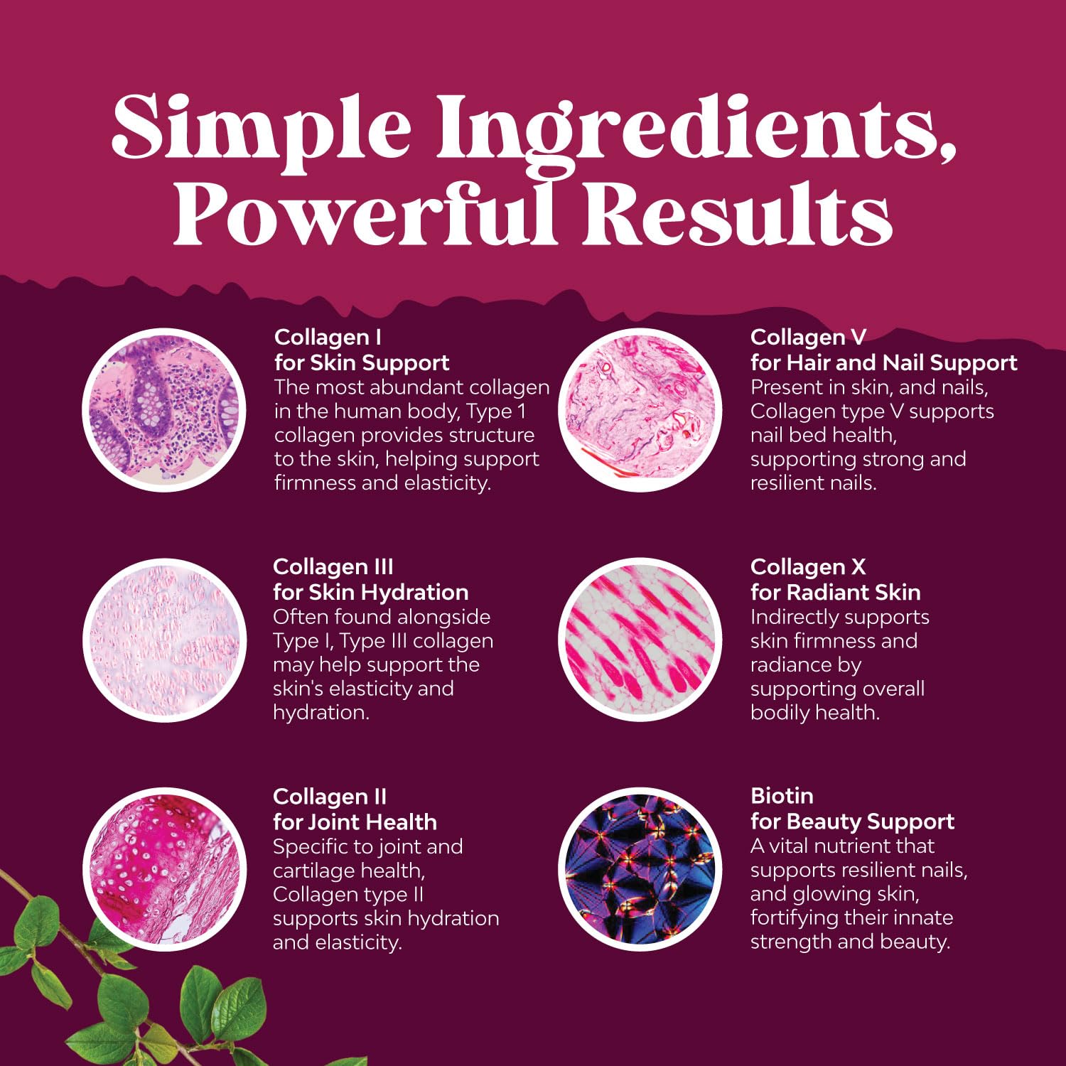 Bioperine for enhanced absorption