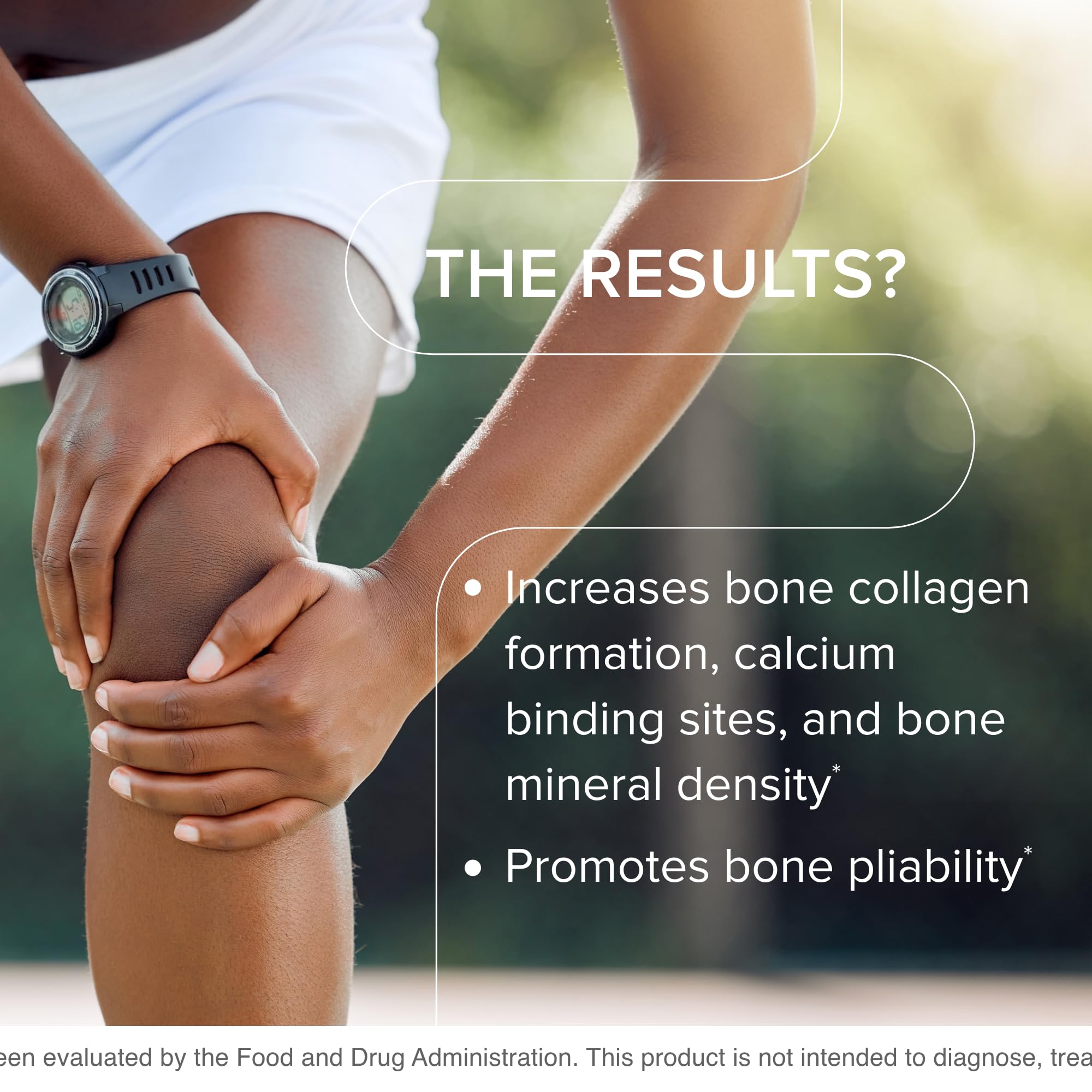 MK7 and Vitamin B12 ingredients