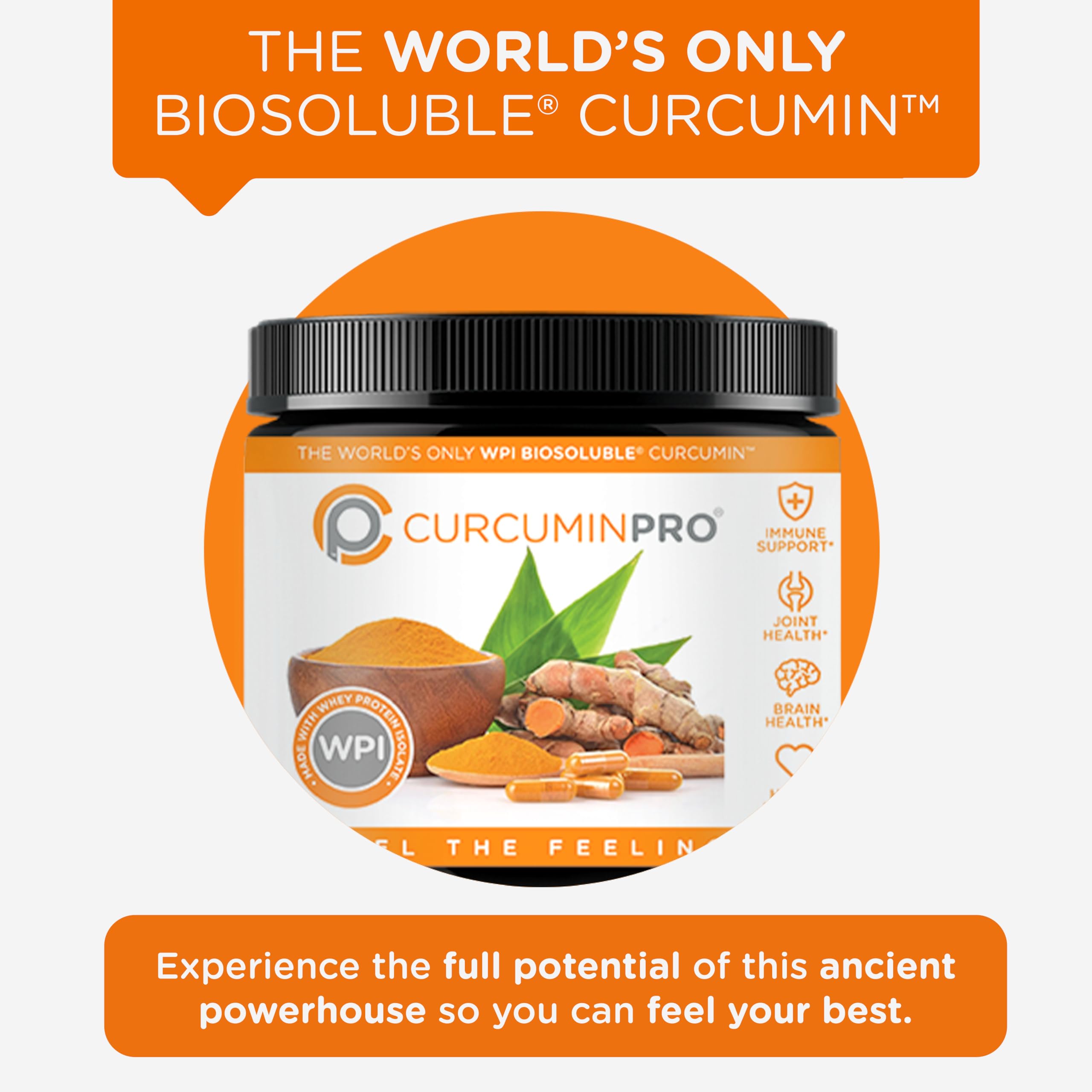 BioSoluble CurcuminPro label showing 1200mg per scoop