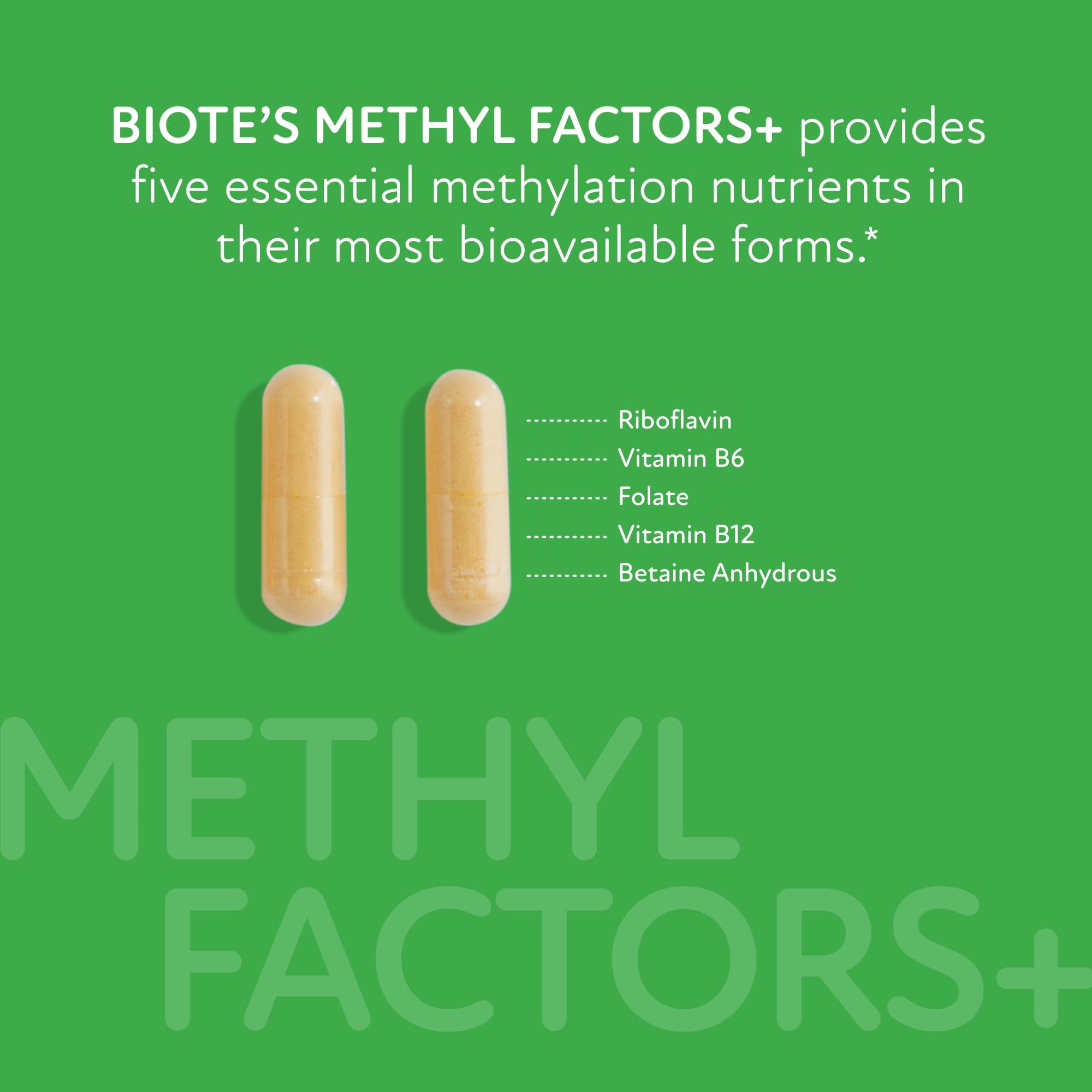 Promotes Normal Methylation icon