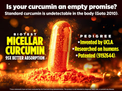 Close-up of Biotest Micellar Curcumin bottle and capsule