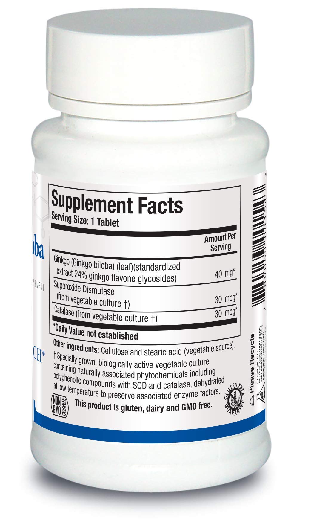 Graphic illustrating brain function support from Ginkgo Biloba