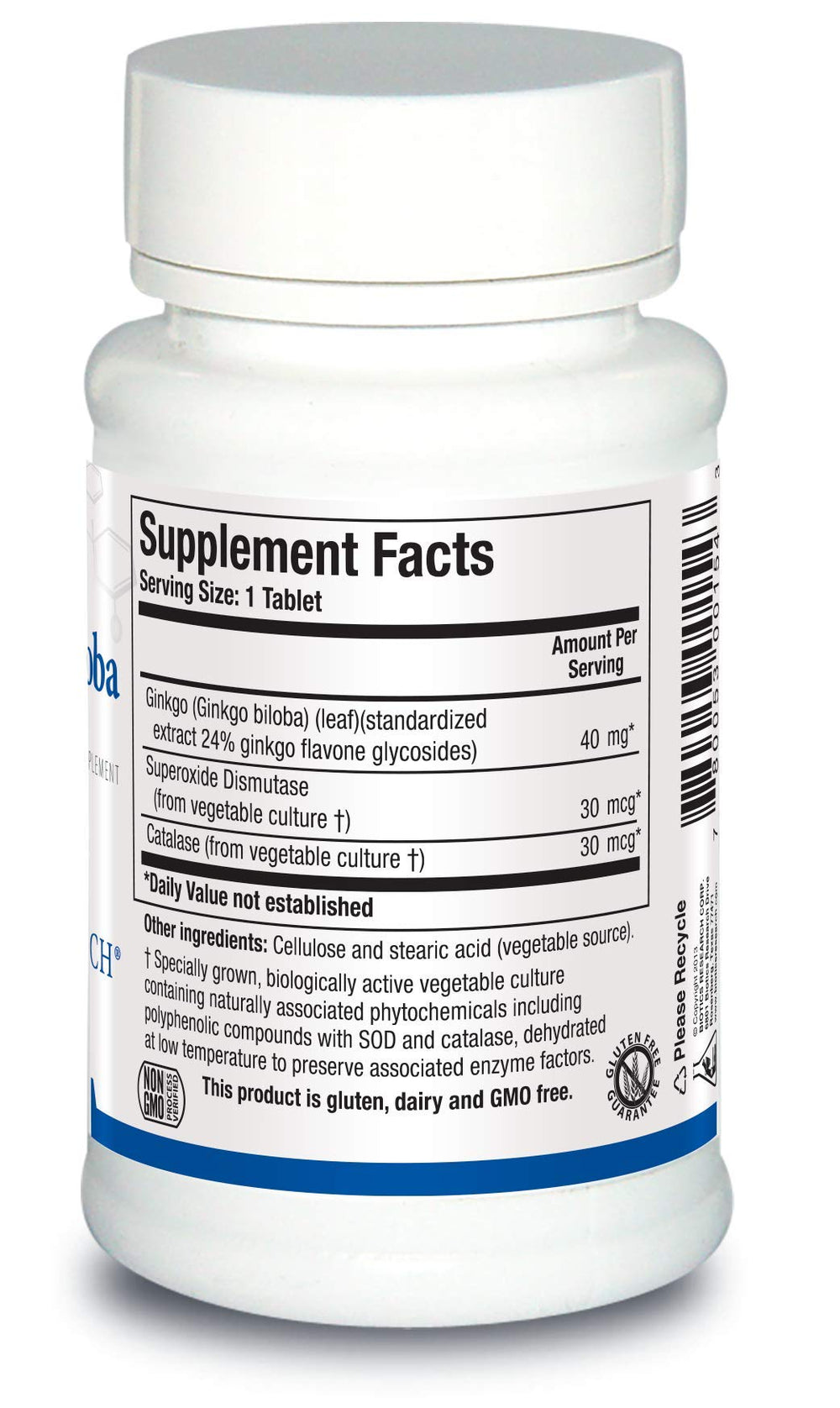 Graphic illustrating brain function support from Ginkgo Biloba