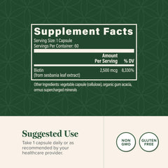 Close-up of Biotin capsules for nails and skin support