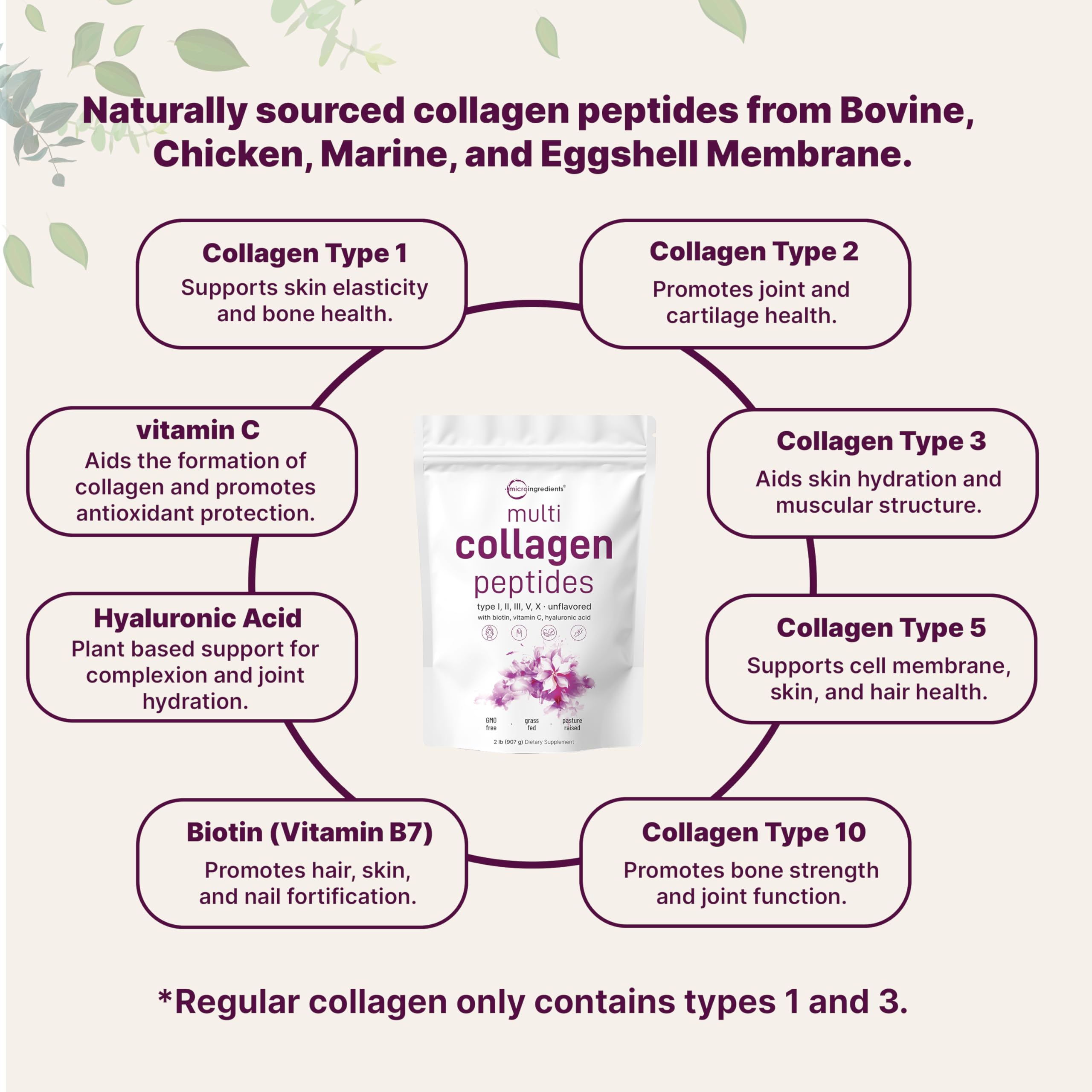Biotin, Vitamin C and Hyaluronic Acid in collagen formula