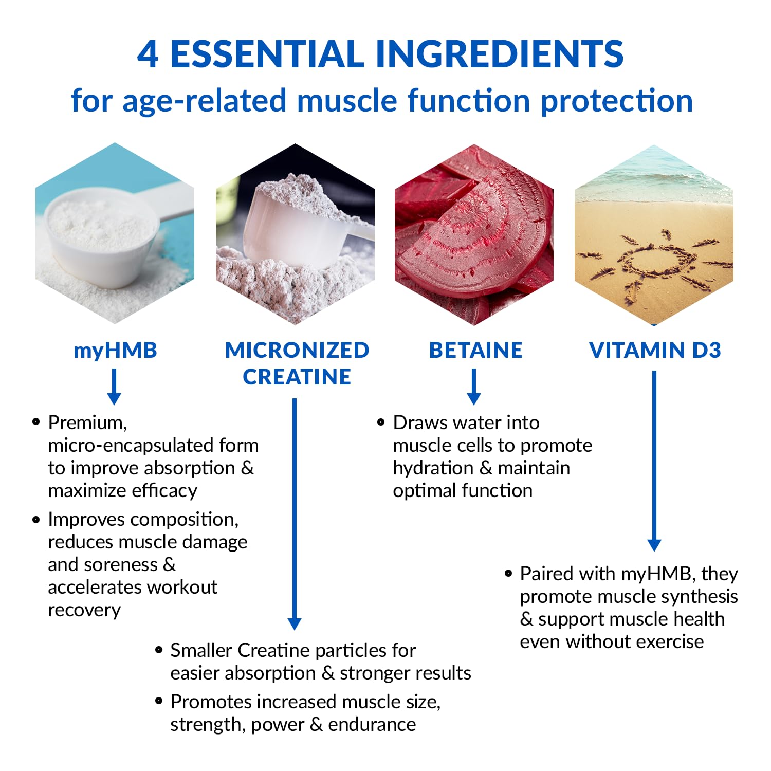 Illustration of creatine monohydrate and HMB blend