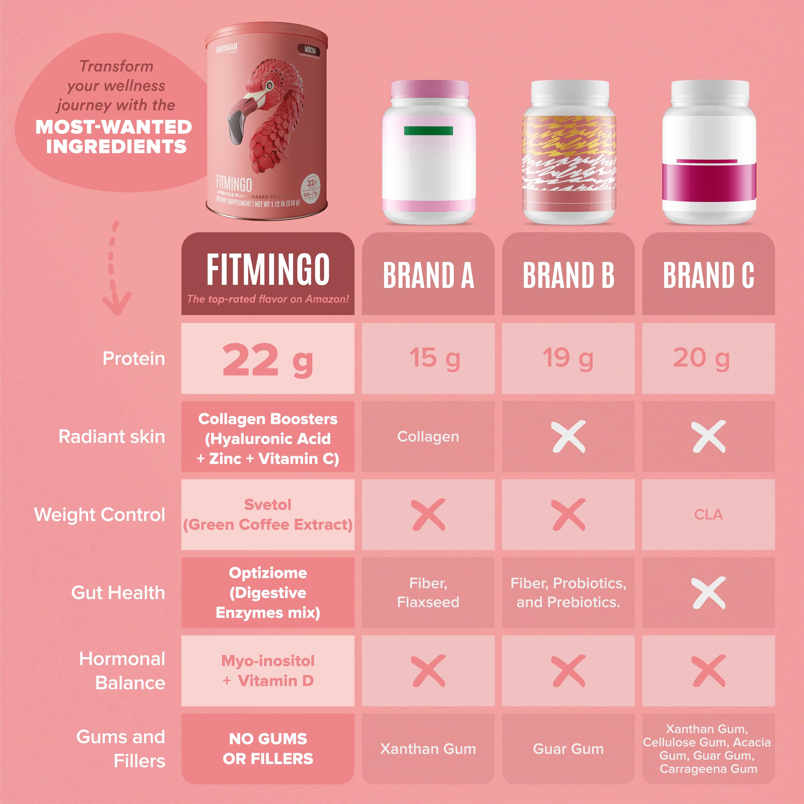 BIRDMAN Fitmingo ingredient flatlay with cocoa beans and plant protein showing natural sources