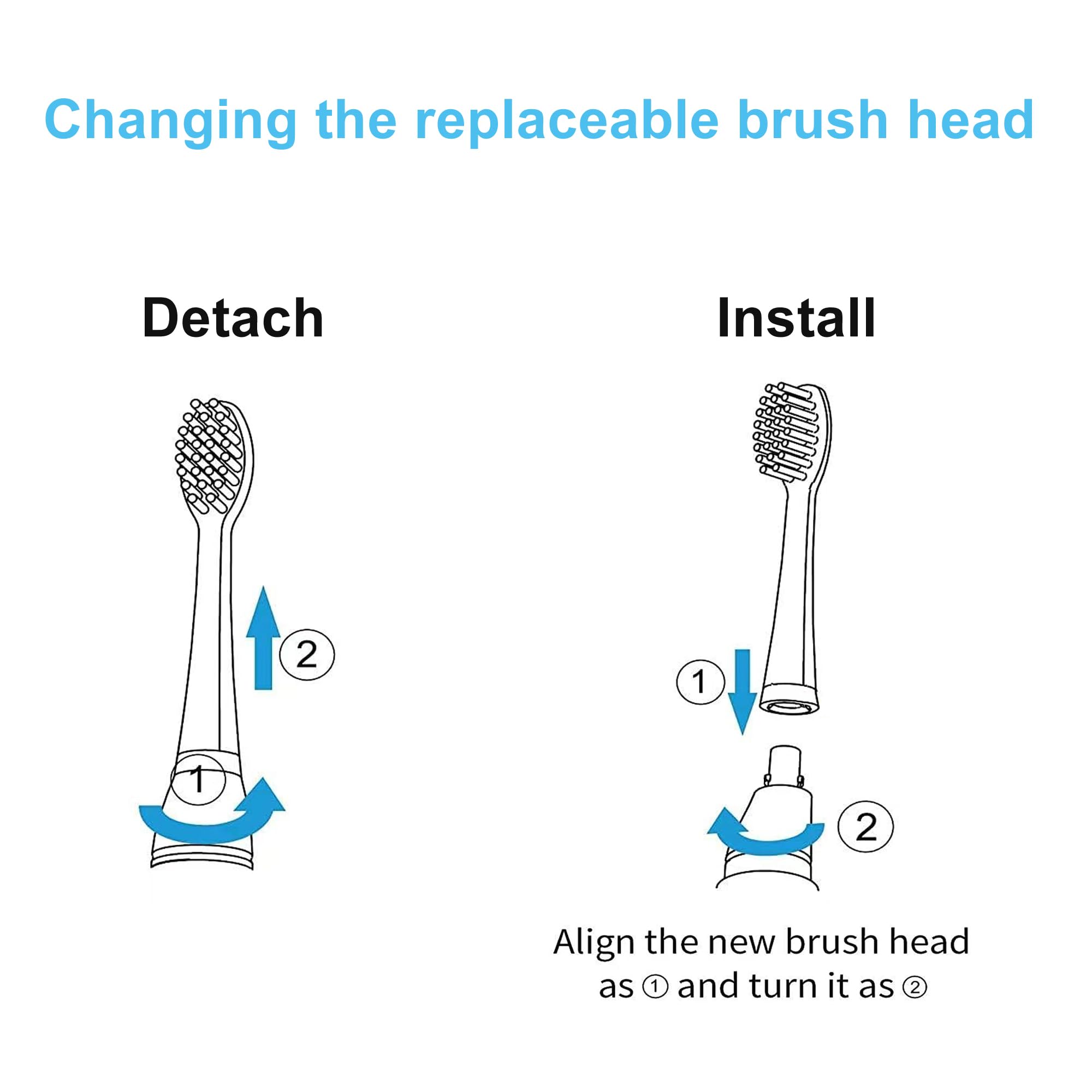 Travel-ready Bitvae D2 replacement head packaging