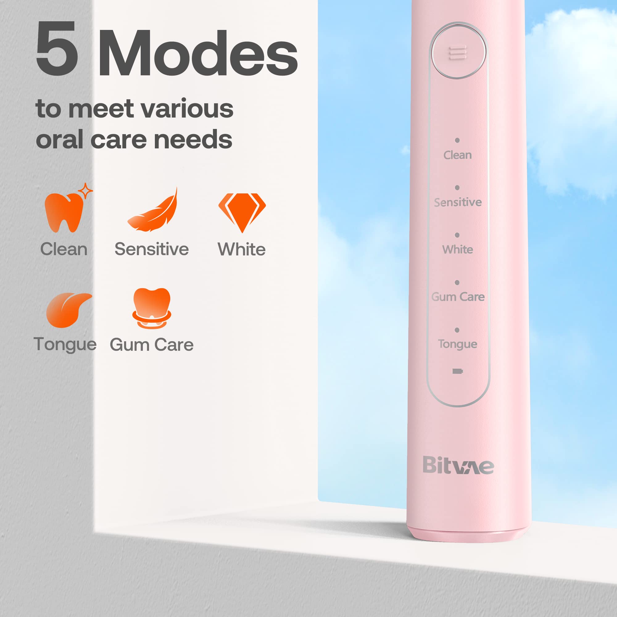 IPX7 waterproof Bitvae R2 toothbrush