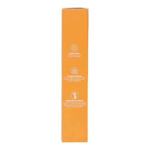 Bitvae R2 box contents and packaging