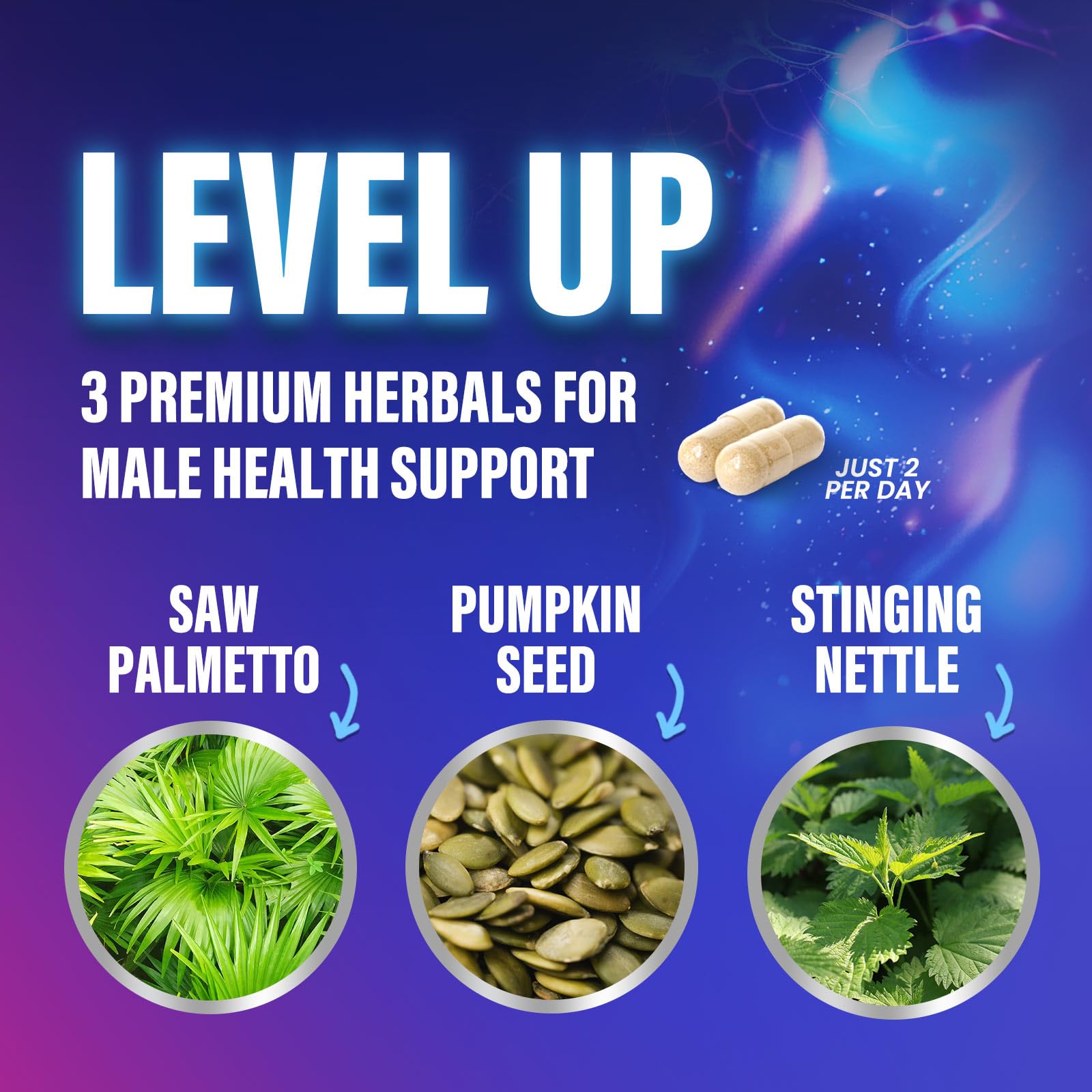 Bladder support and urinary health concept