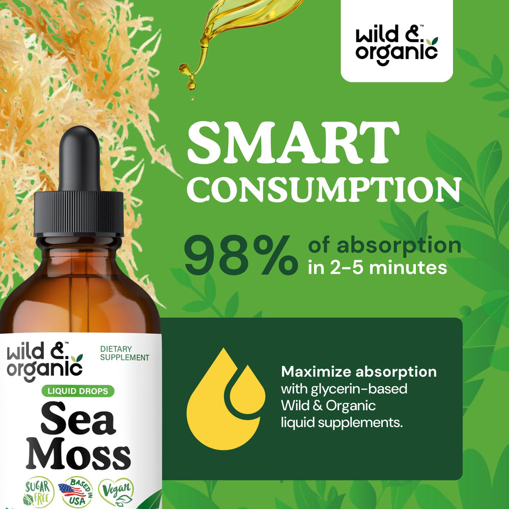 Bladderwrack seaweed detail