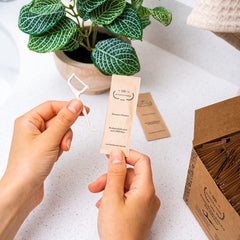 Eco-friendly floss picks displayed with recyclable packaging
