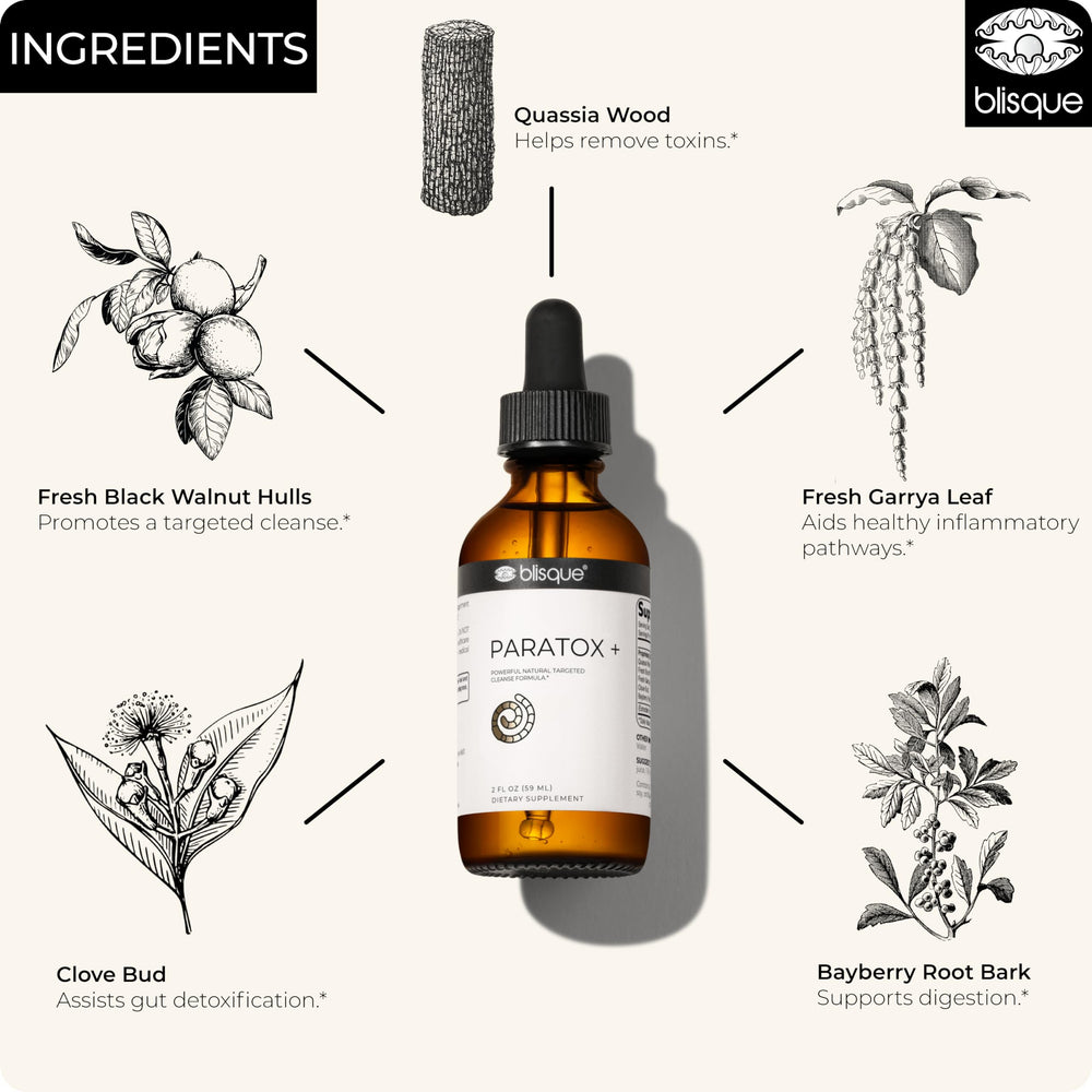 Clove bud ingredient for Blisque PARATOX+