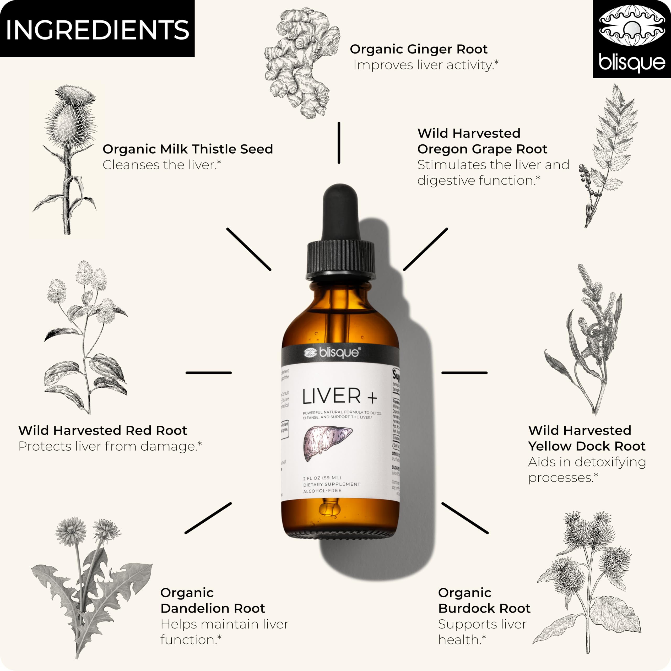 Milk thistle, ginger, Oregon grape, dandelion and red root ingredients