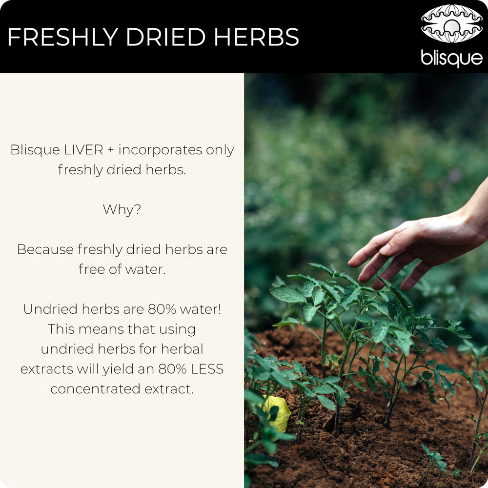 Close-up of bottle with droplets