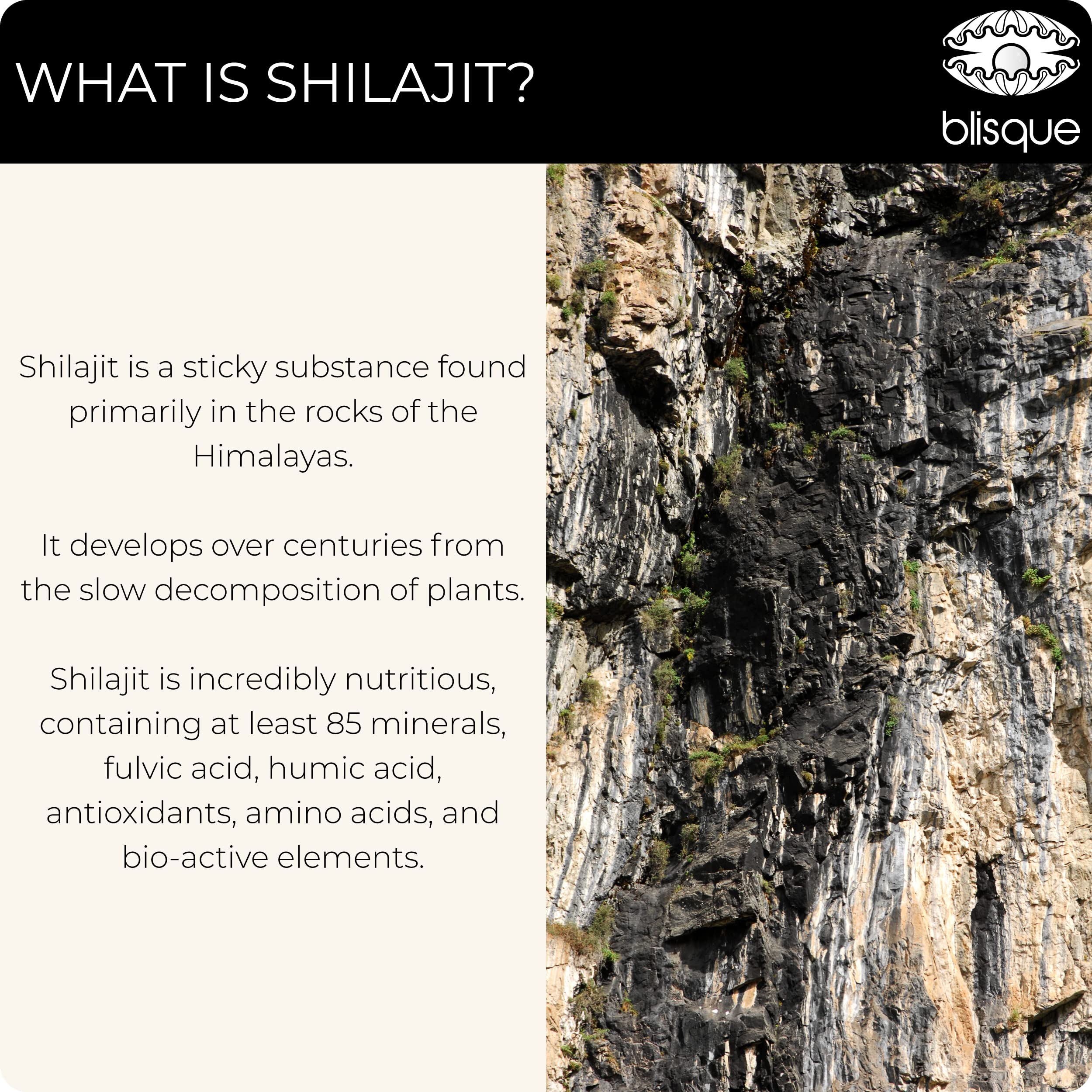 Himalayan mountains source of Shilajit