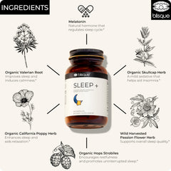 Close-up of herbal ingredients used in Blisque SLEEP+