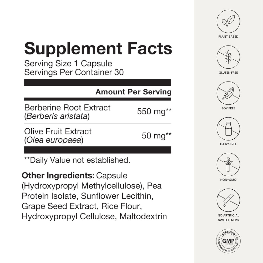 Chart illustrating blood sugar and metabolism support.