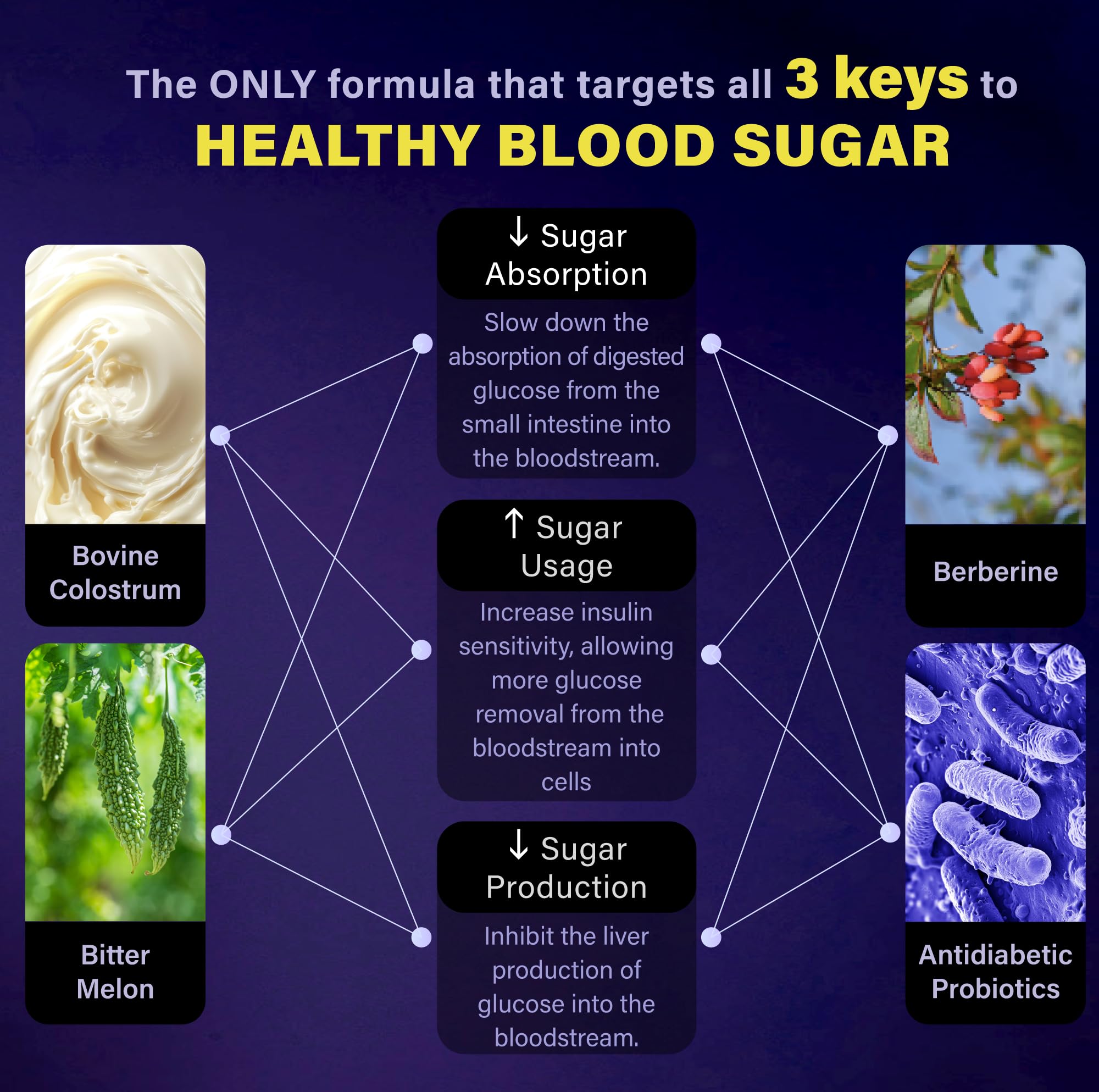 Colostrum powder with 40% IgG and 1000 mg dosage